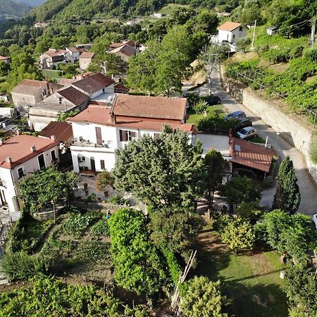 Agriturismo Mare E Monti Casa de hóspedes Tramonti Exterior foto