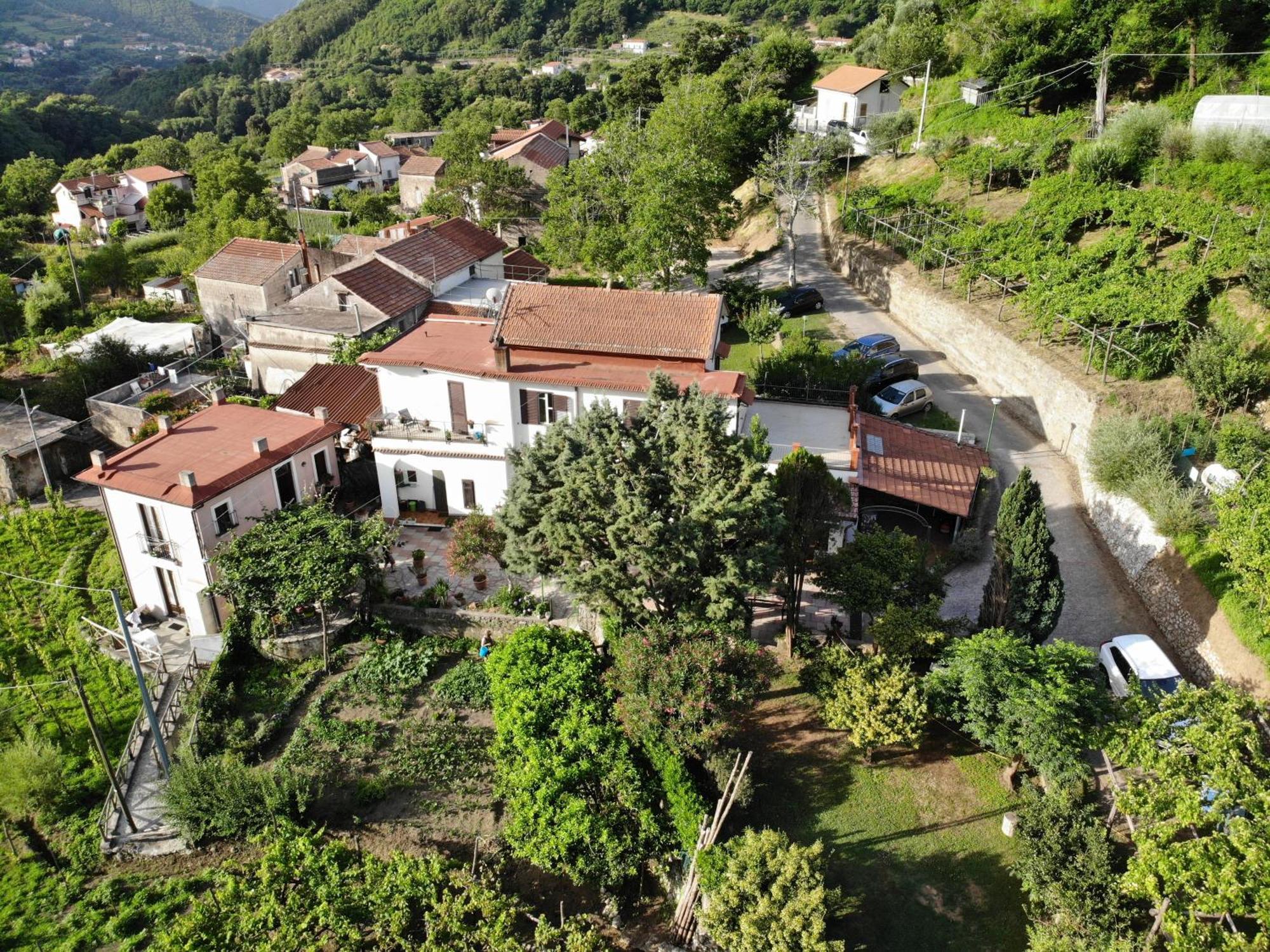 Agriturismo Mare E Monti Casa de hóspedes Tramonti Exterior foto