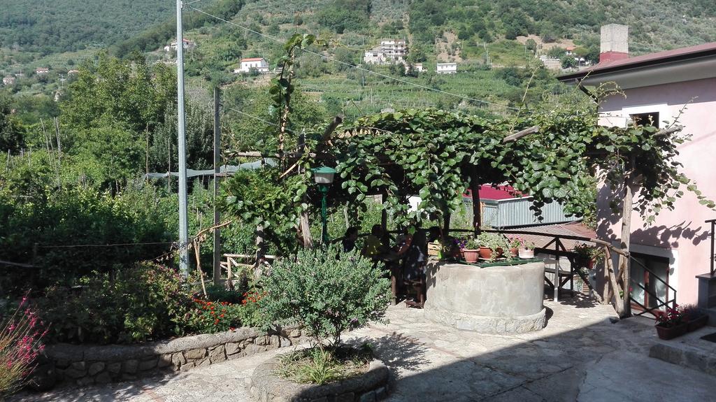 Agriturismo Mare E Monti Casa de hóspedes Tramonti Exterior foto